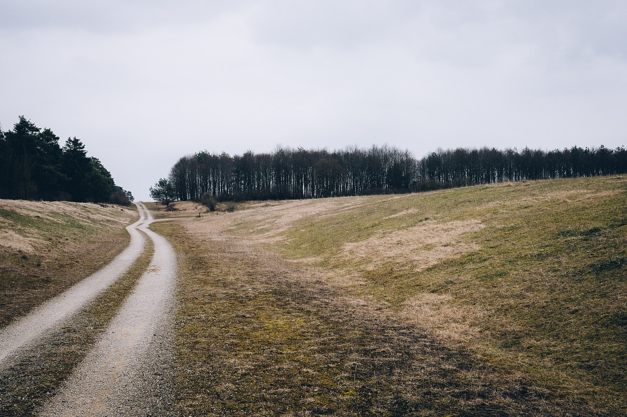 clouds dirt road grass free photo