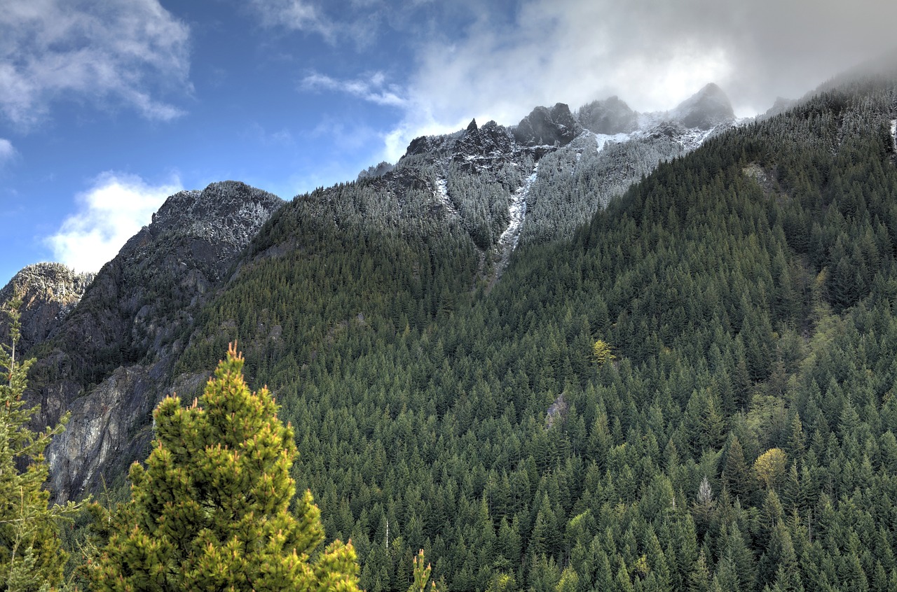 clouds forest landscape free photo