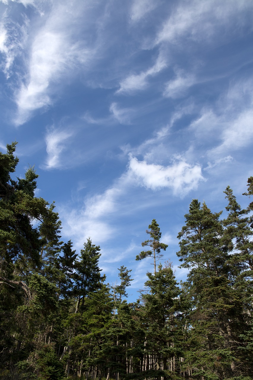 clouds landscape nature free photo