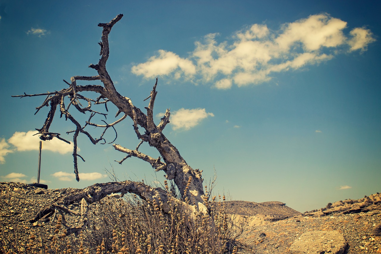 clouds desert landscape free photo