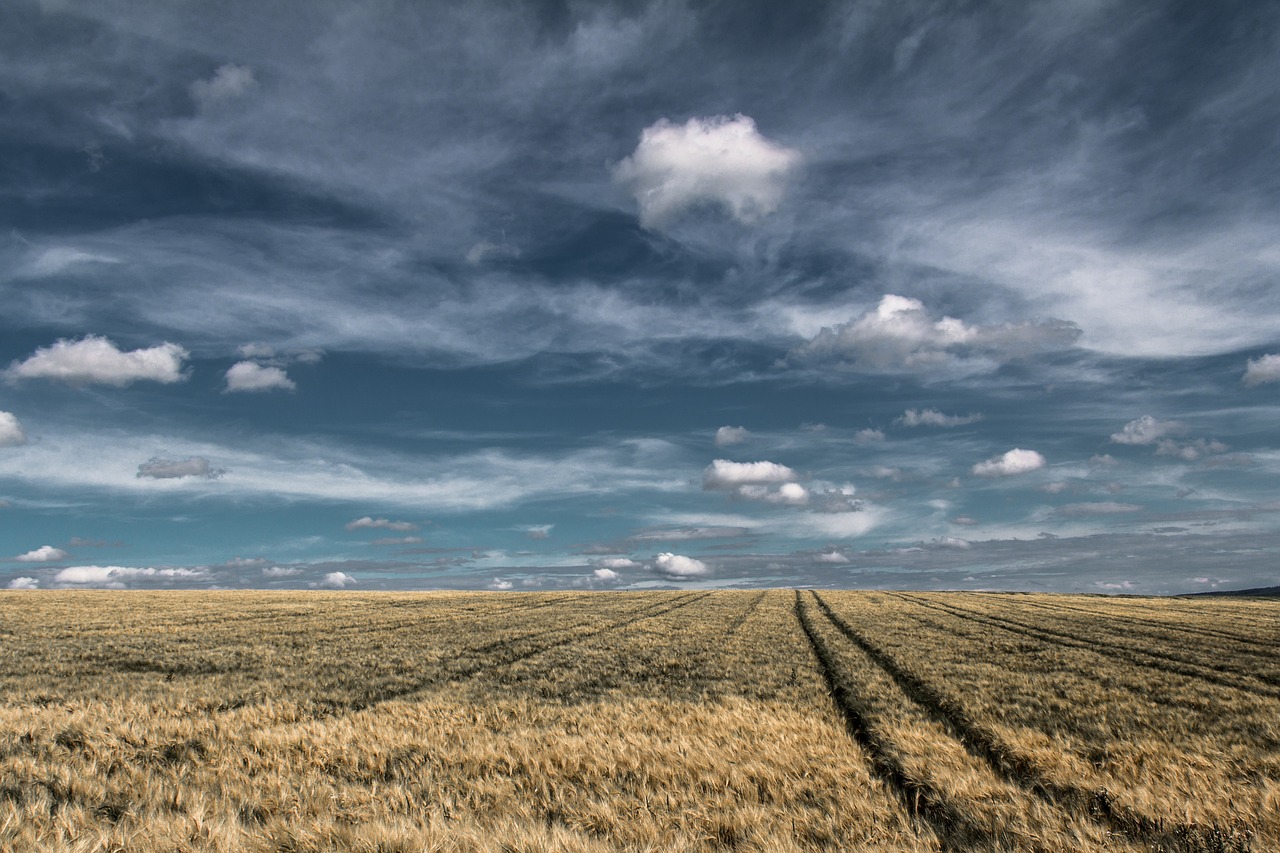 clouds field landscape free photo