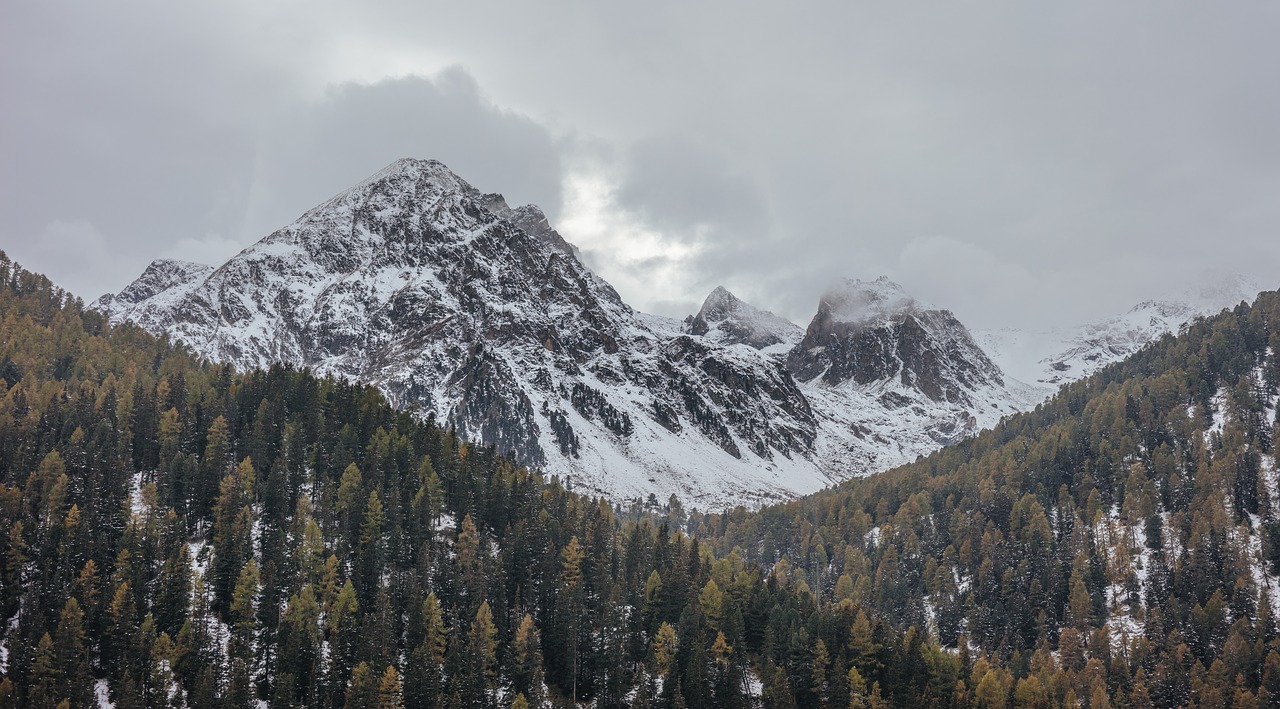 clouds cold conifer free photo