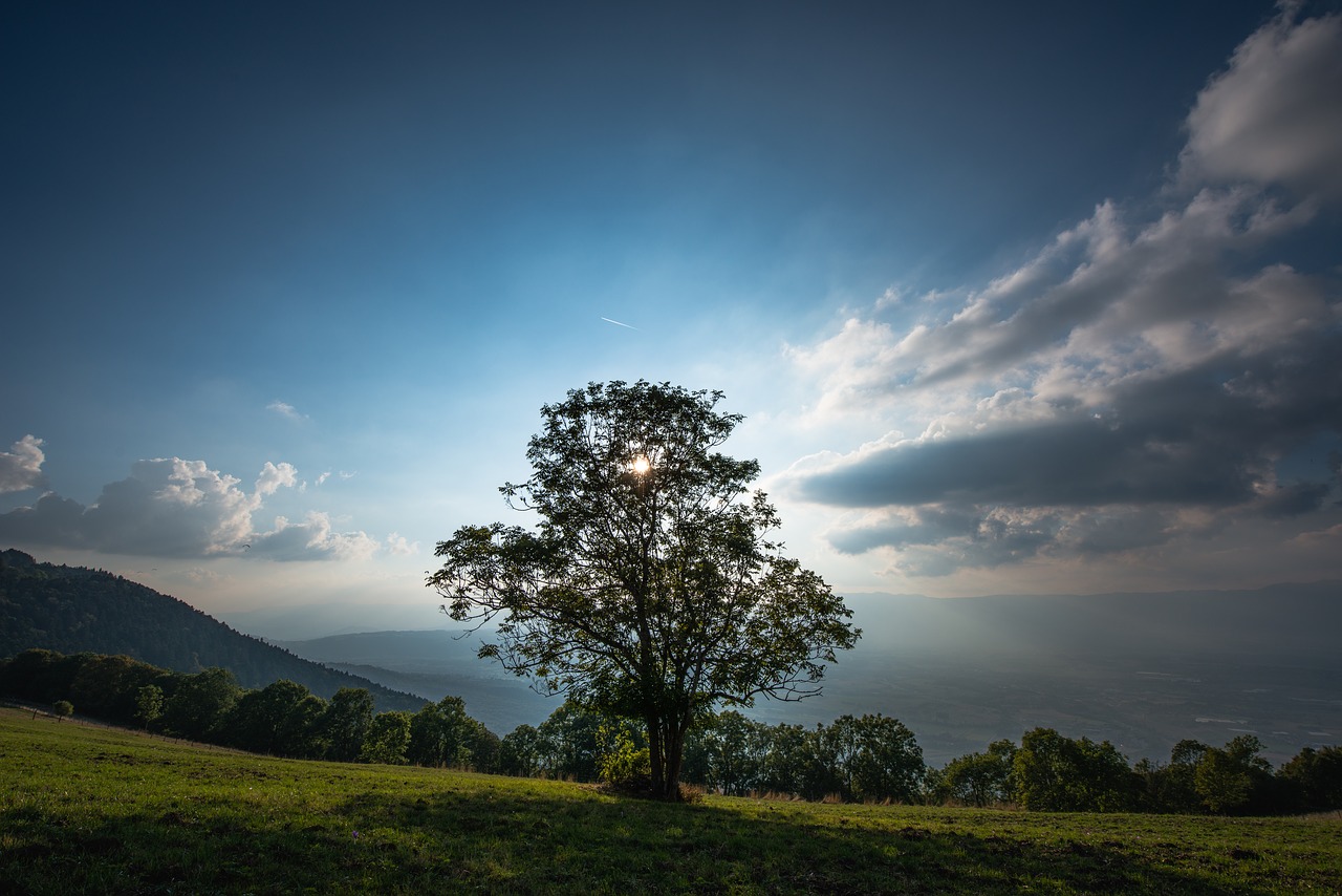 clouds dawn dusk free photo