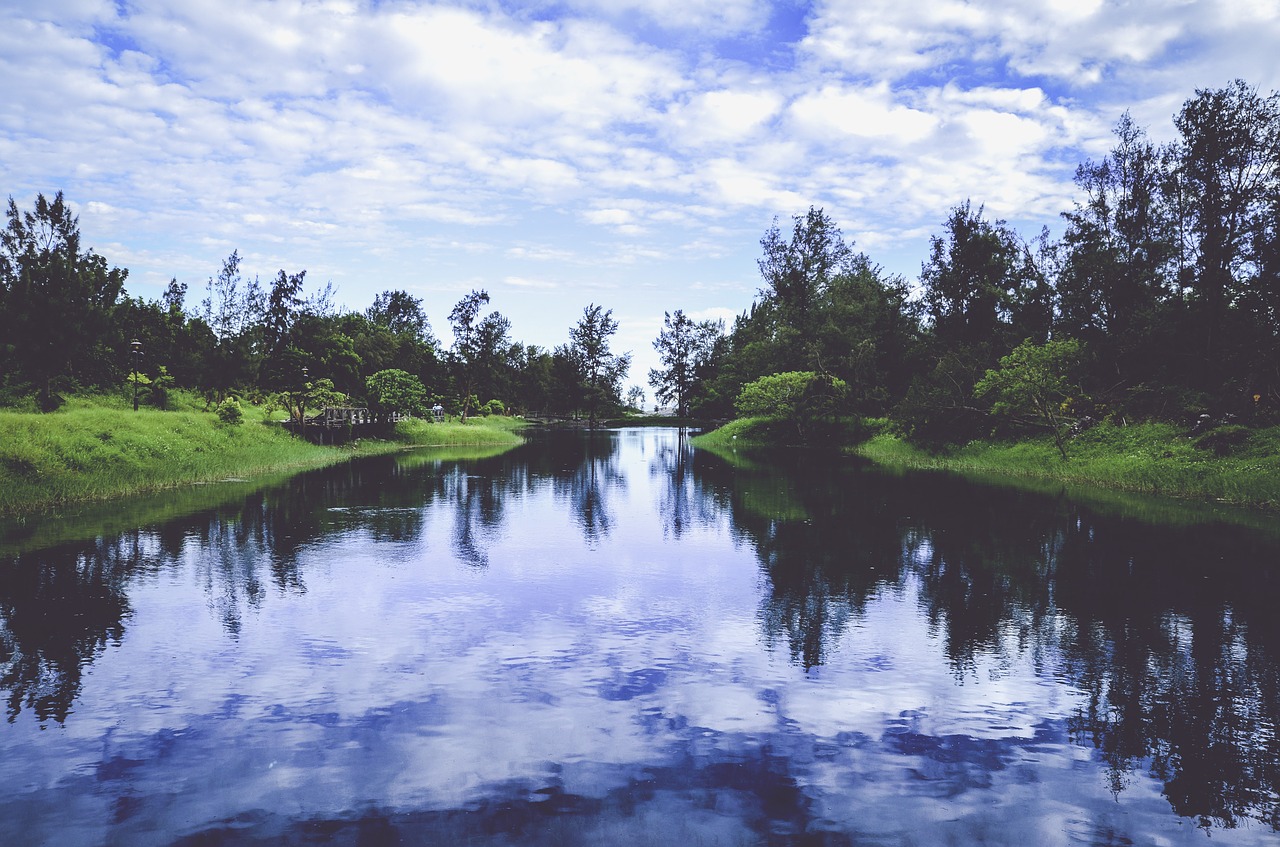 clouds daylight environment free photo