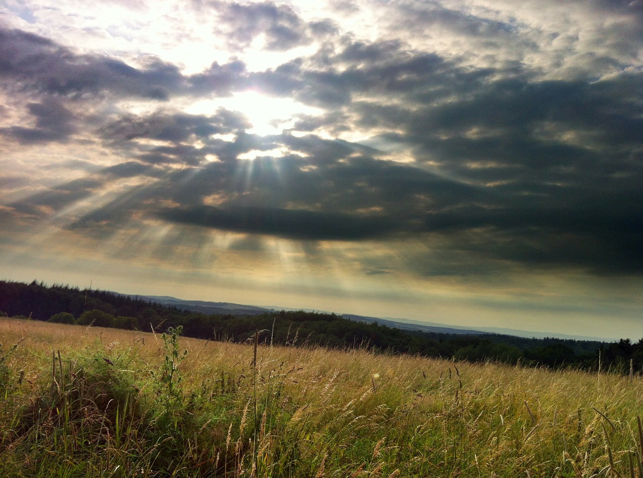 clouds field summer free photo