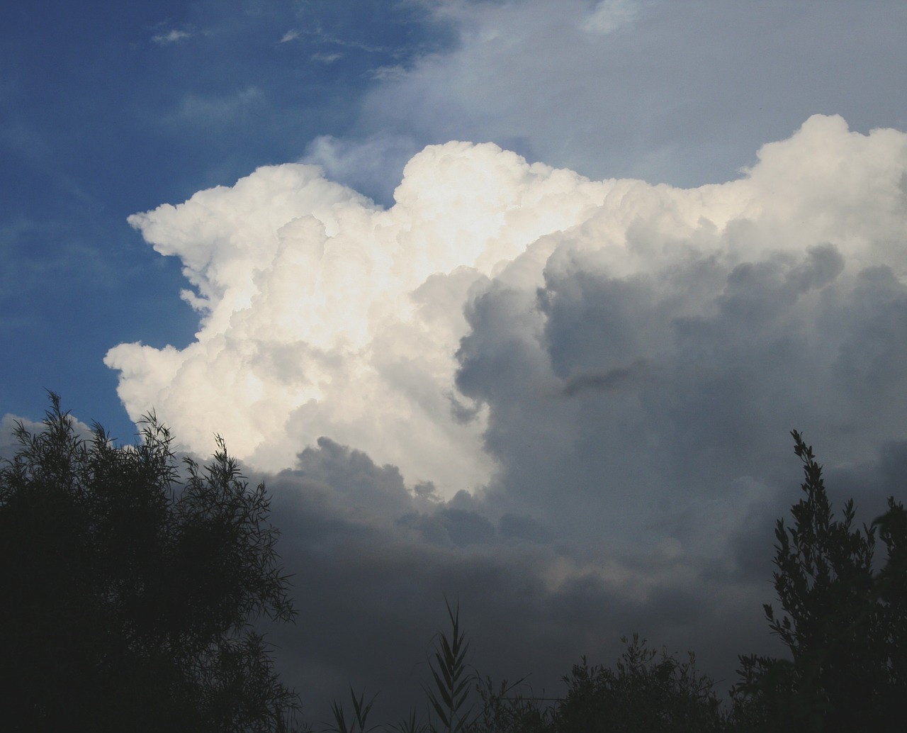 clouds cumulus dense free photo