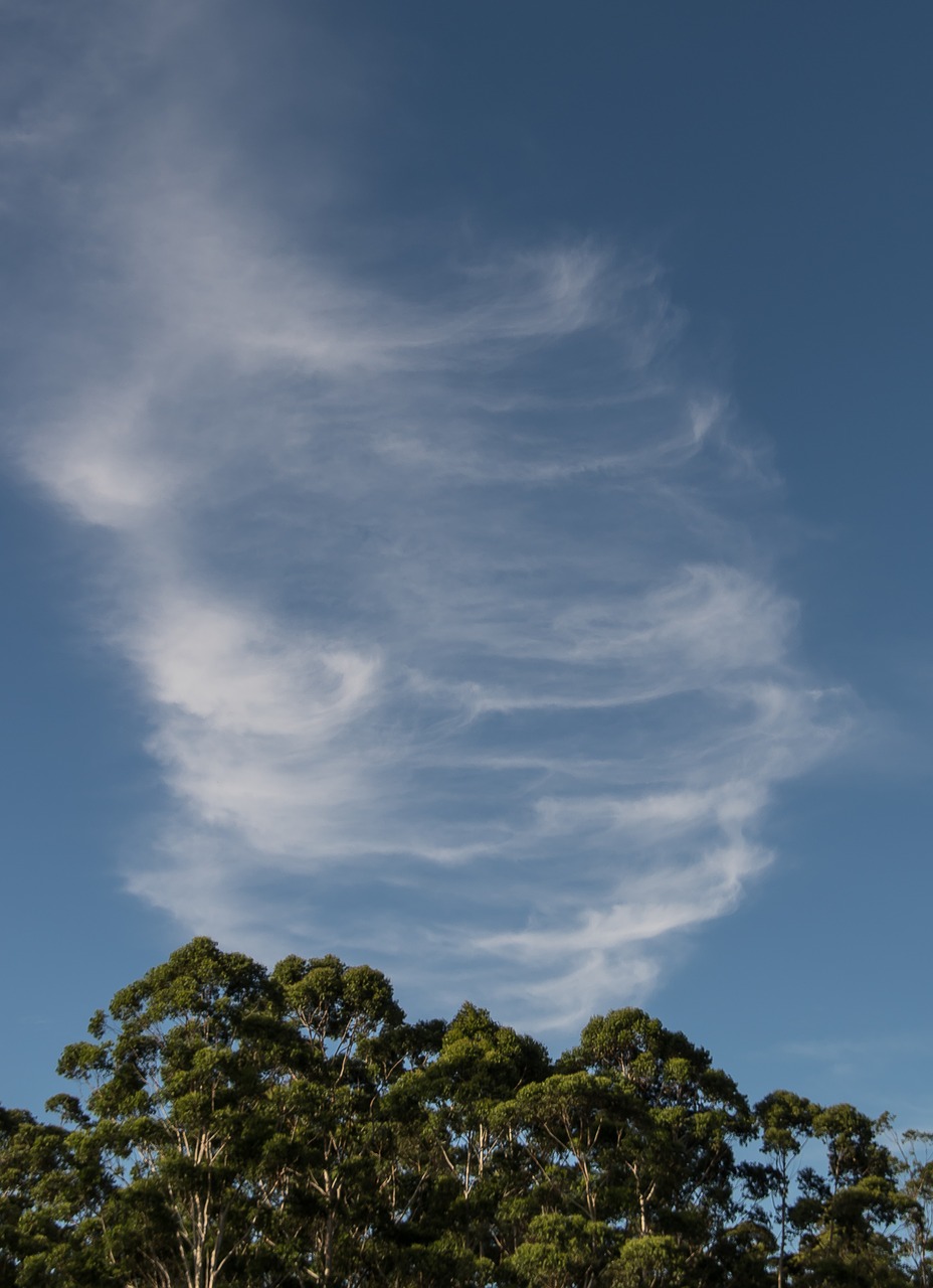 clouds white blue free photo