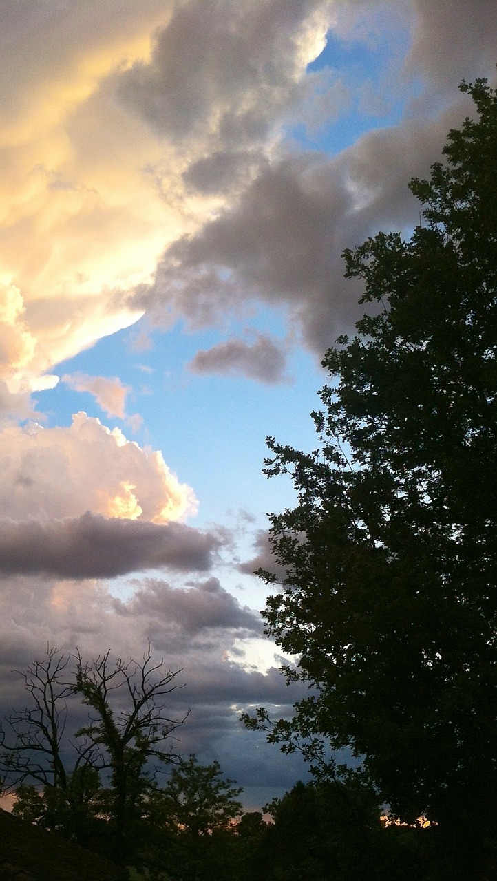 clouds tree sky free photo