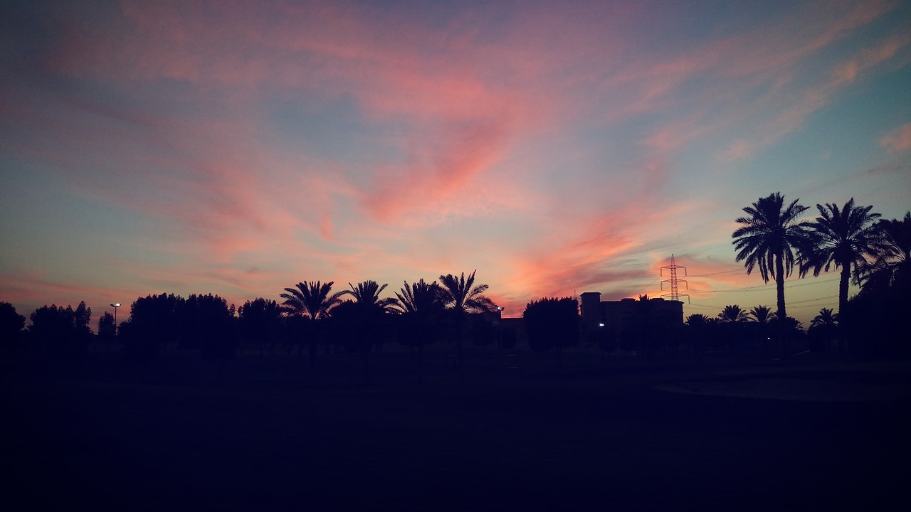 clouds palm trees picturesque free photo