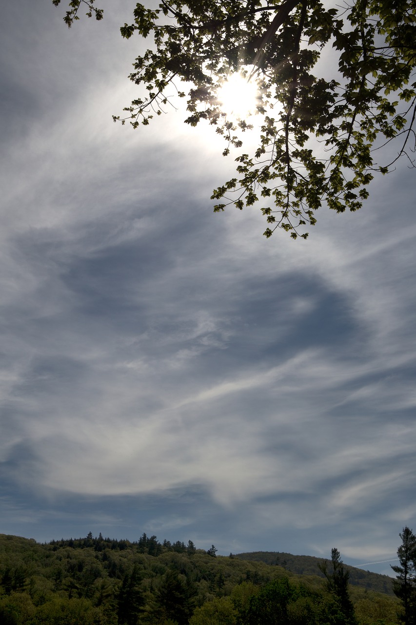 clouds landscape leaves free photo