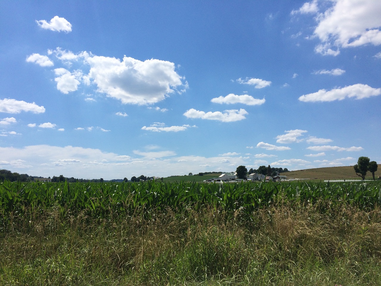 clouds rural sky free photo