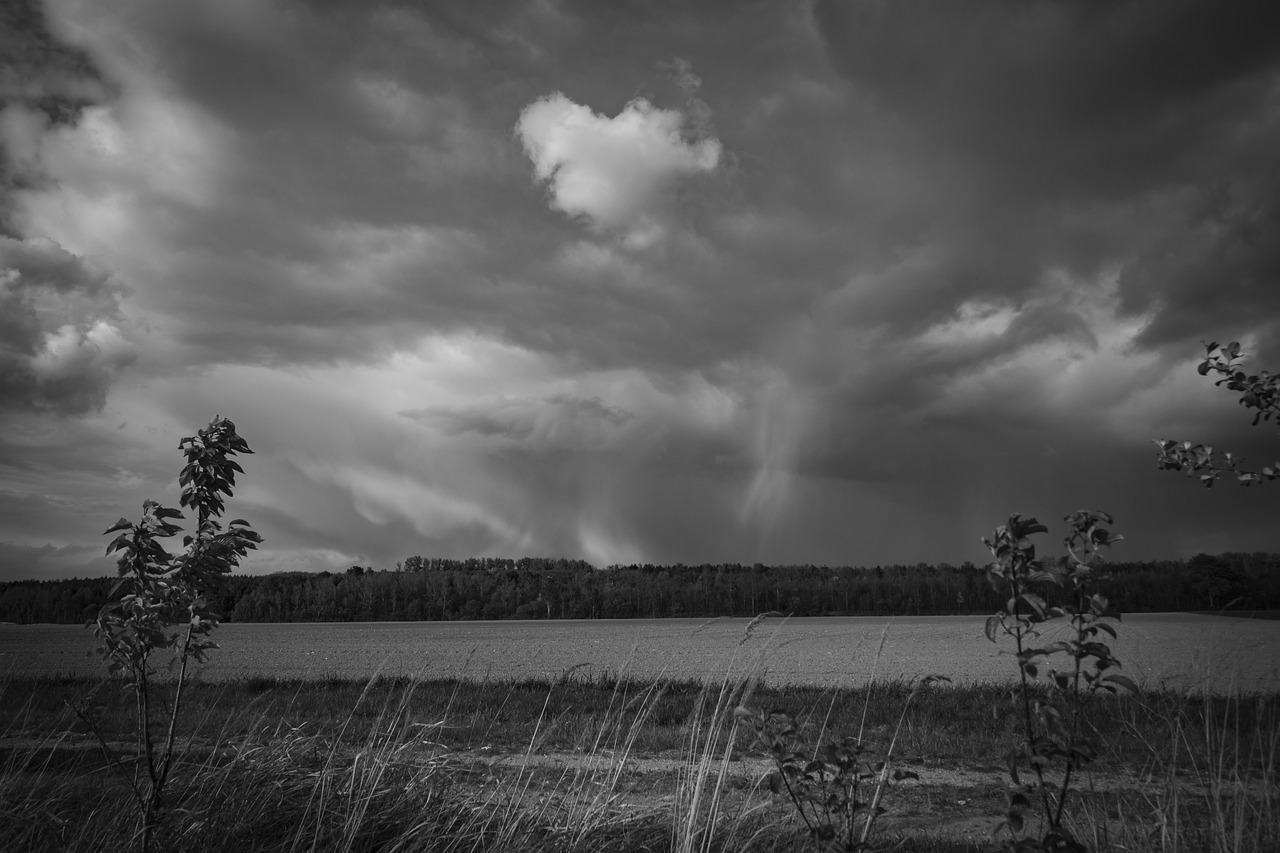 clouds black and white nature free photo