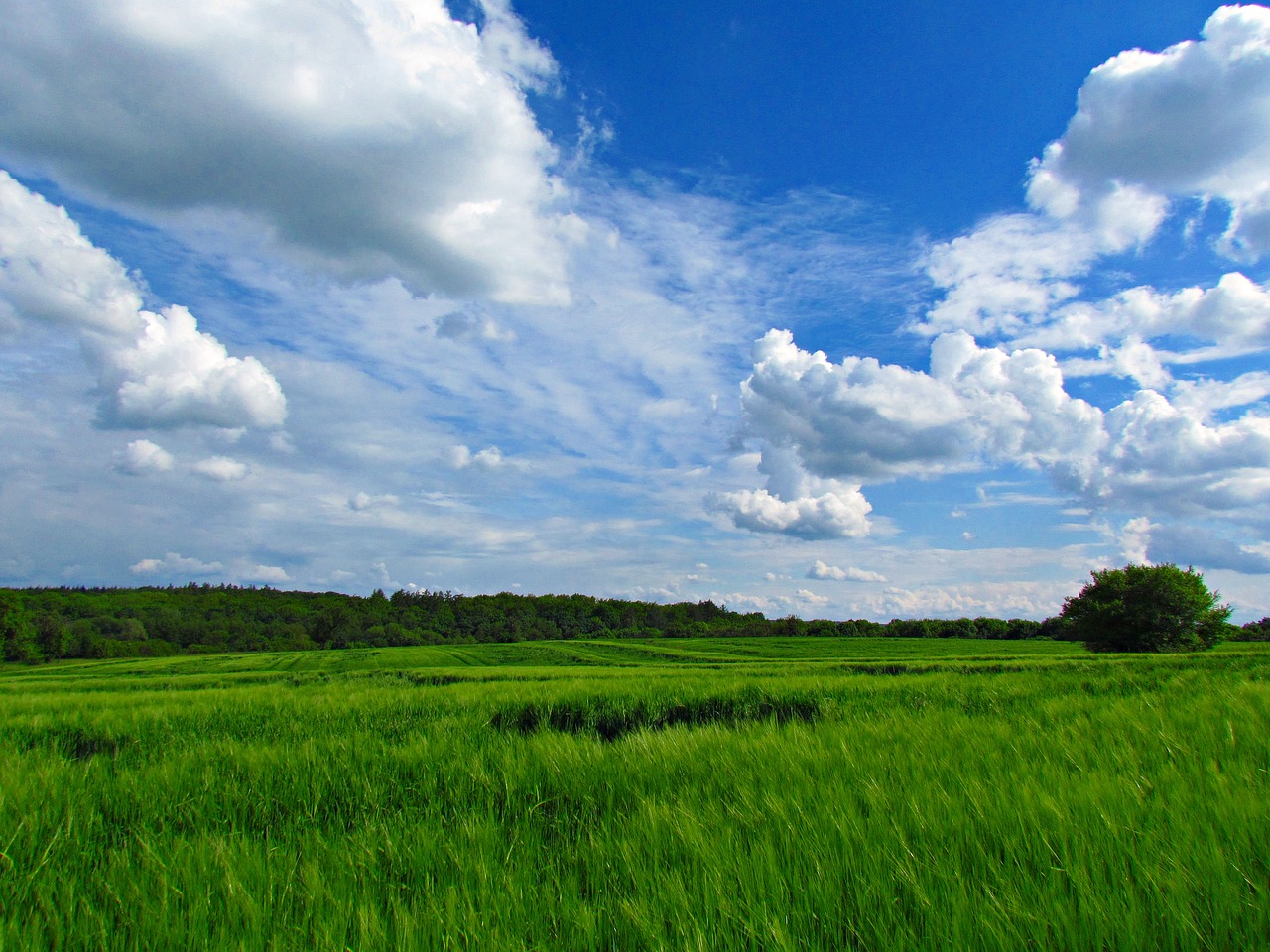 clouds nature sky free photo