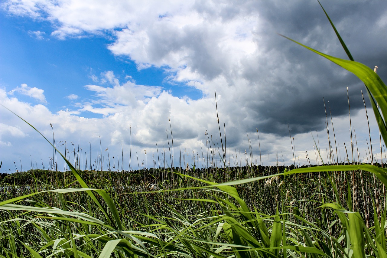 clouds reed lake free photo