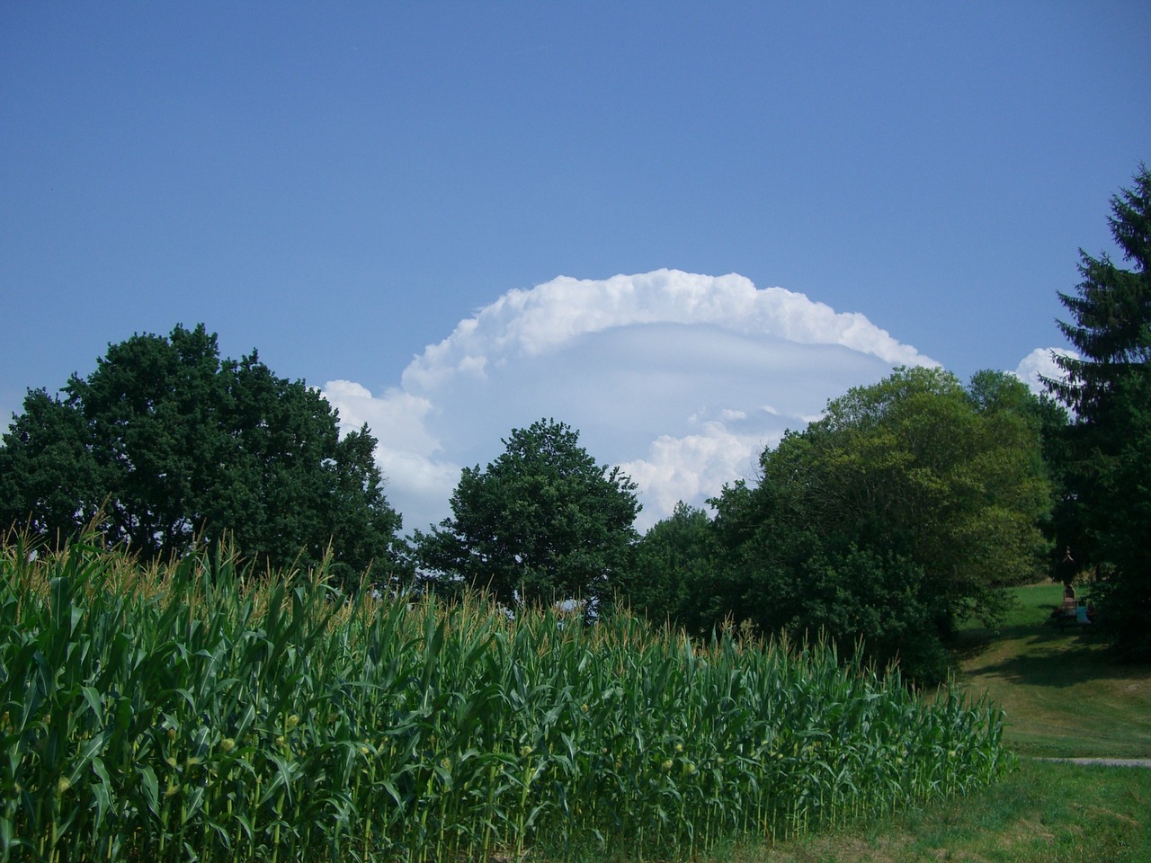 clouds clouds arc sky free photo