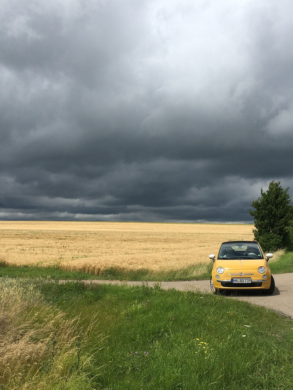 Погода луга. Фиат погоди Фиат. Климат Луга. Погода в Луге. Погода в Луговом.