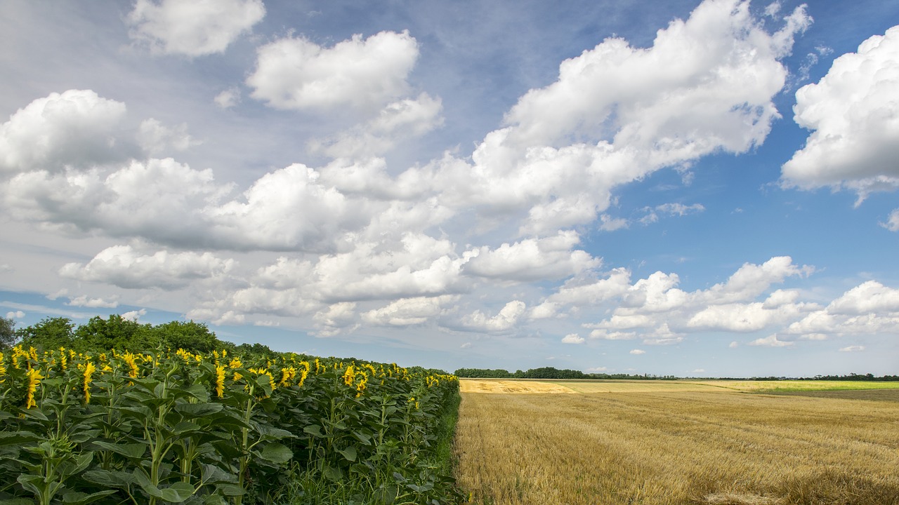 clouds égkép agriculture free photo