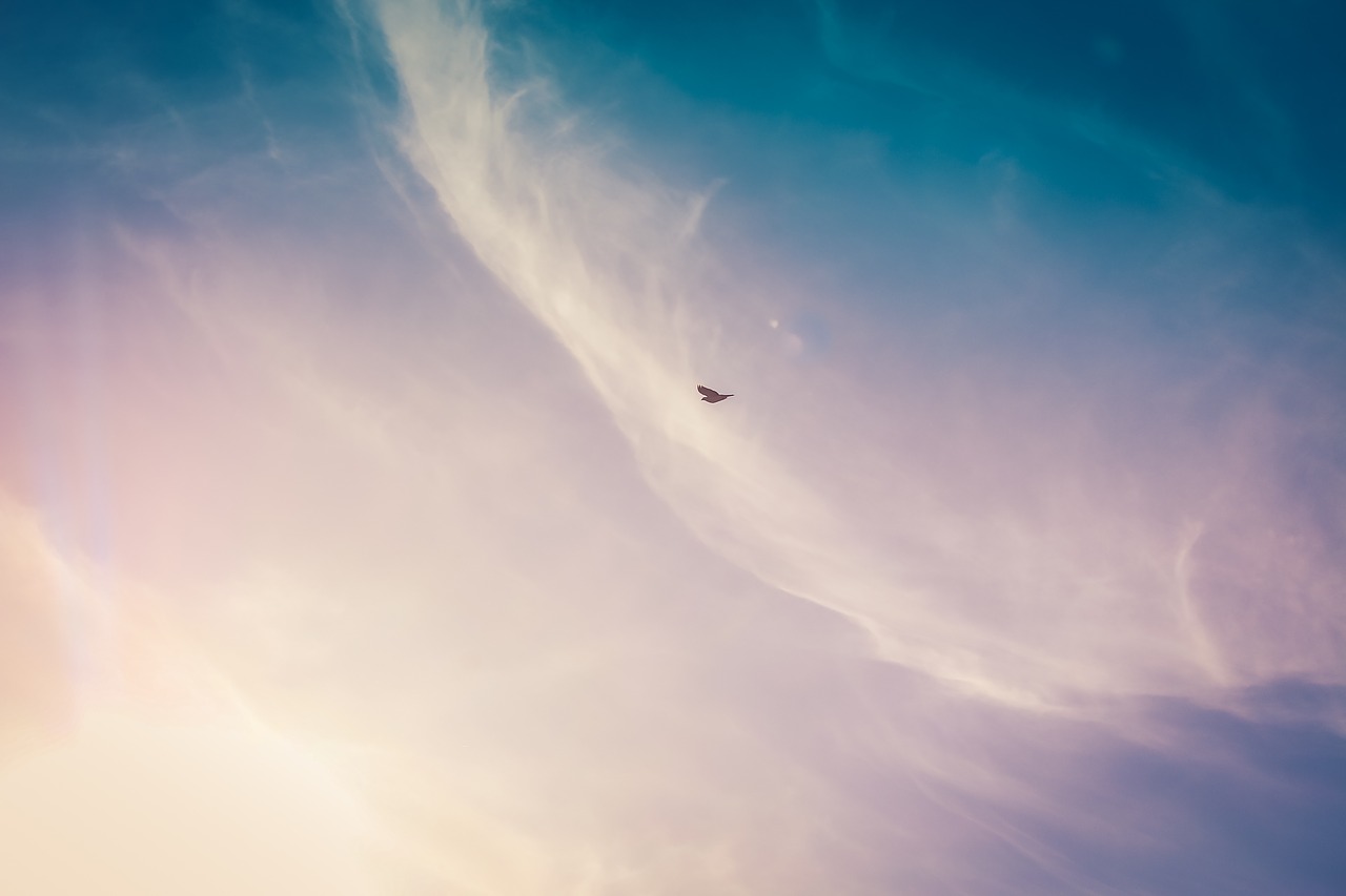 clouds sky aerial free photo