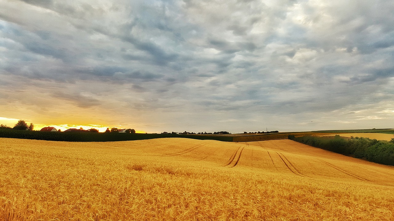 clouds field nature free photo