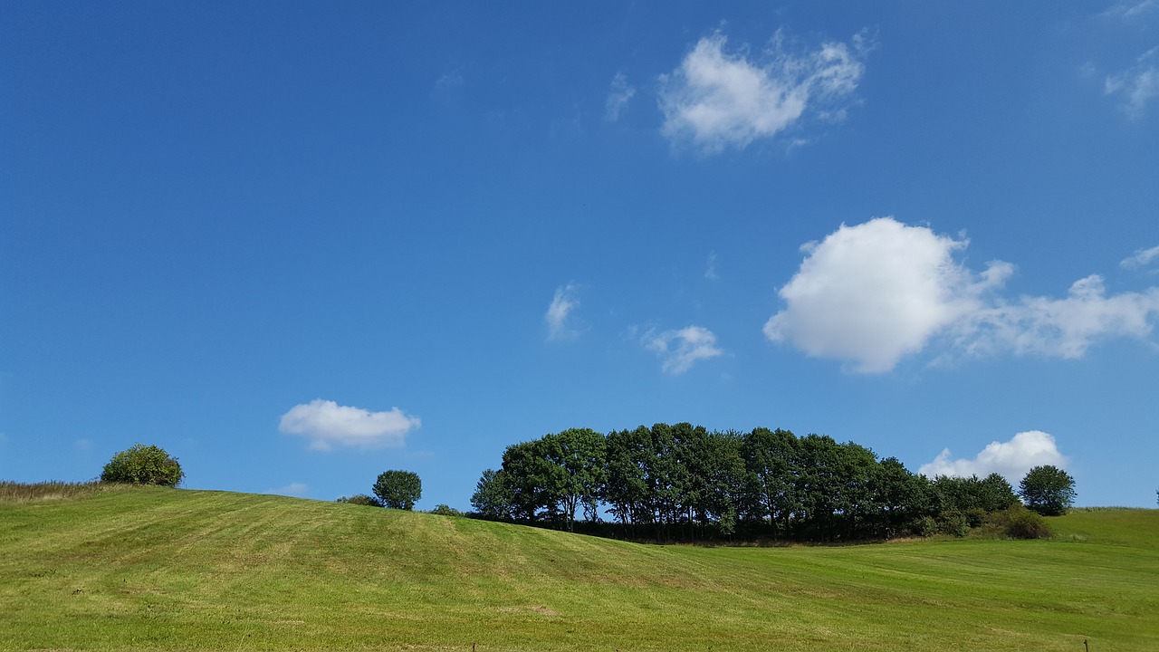 clouds horizon blue free photo