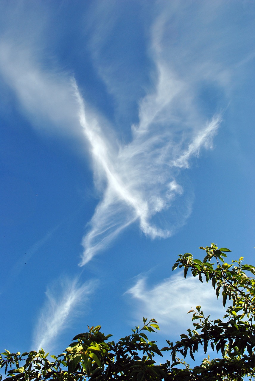 clouds sky vapour trails free photo