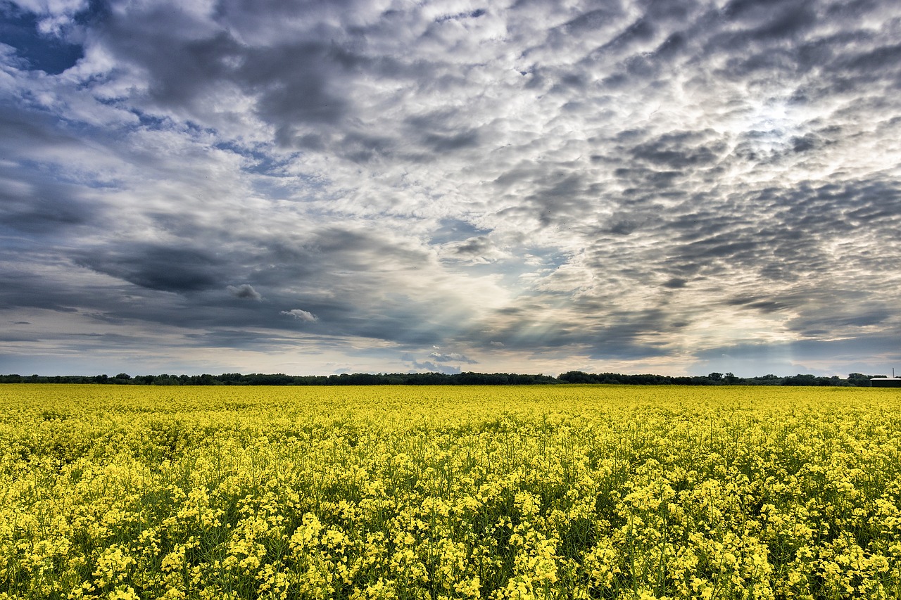 clouds countryside daylight free photo