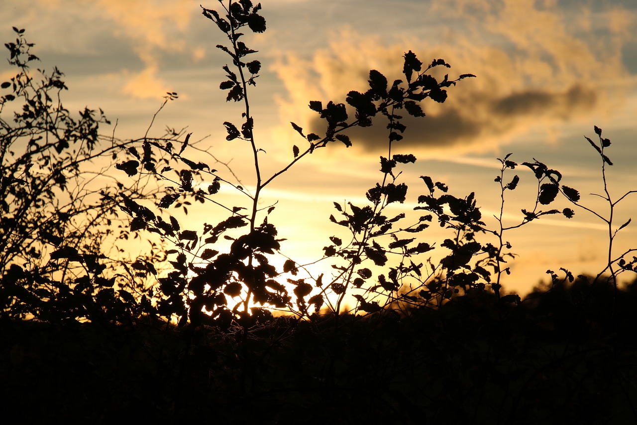 clouds twilight nature free photo