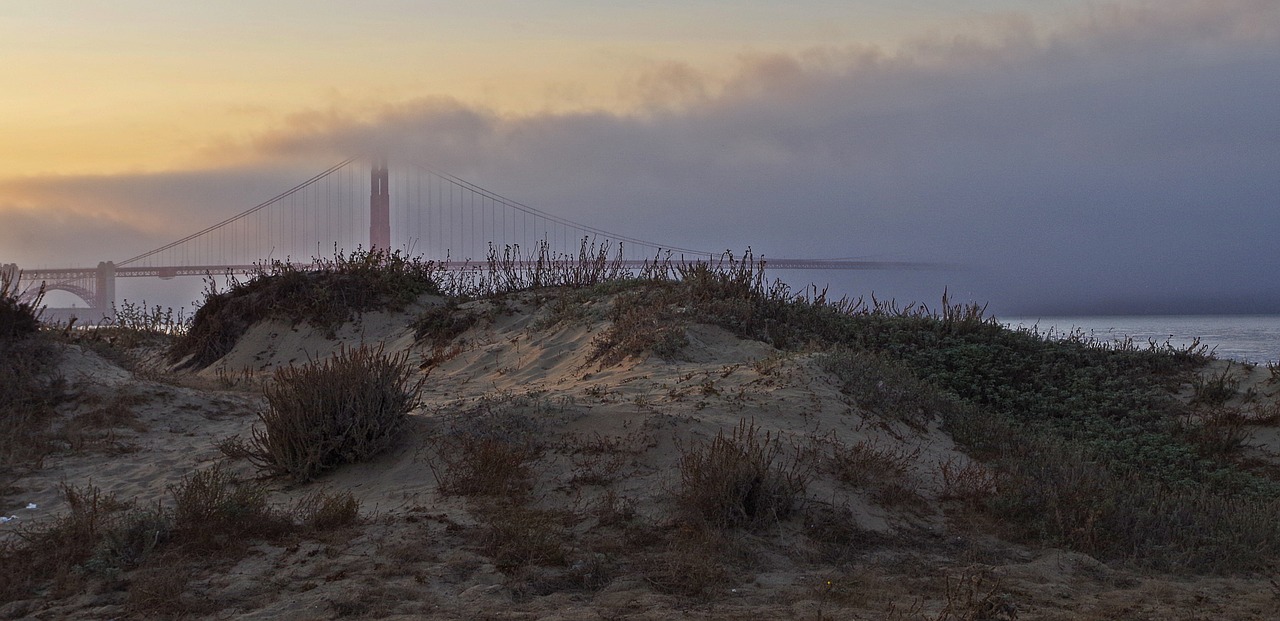 clouds fog sky free photo