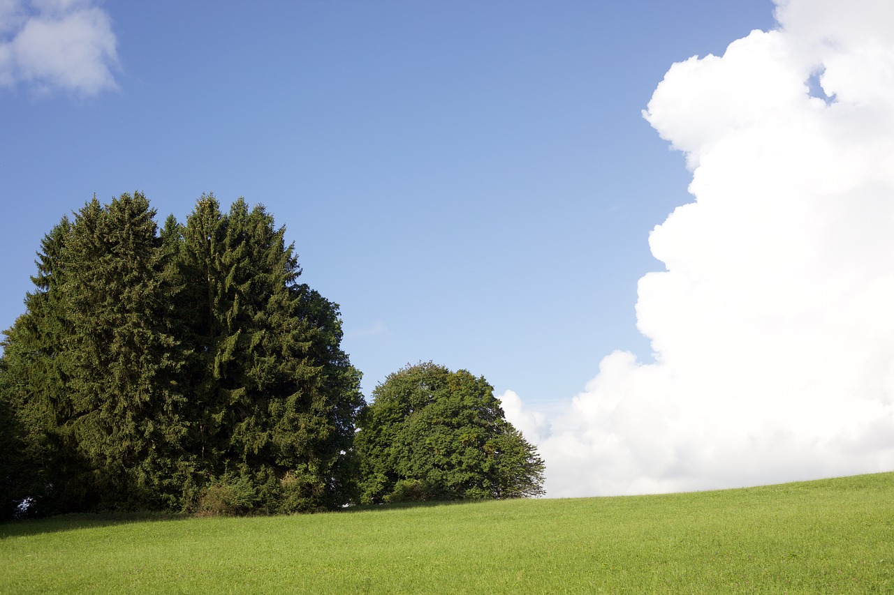 clouds landscape nature free photo