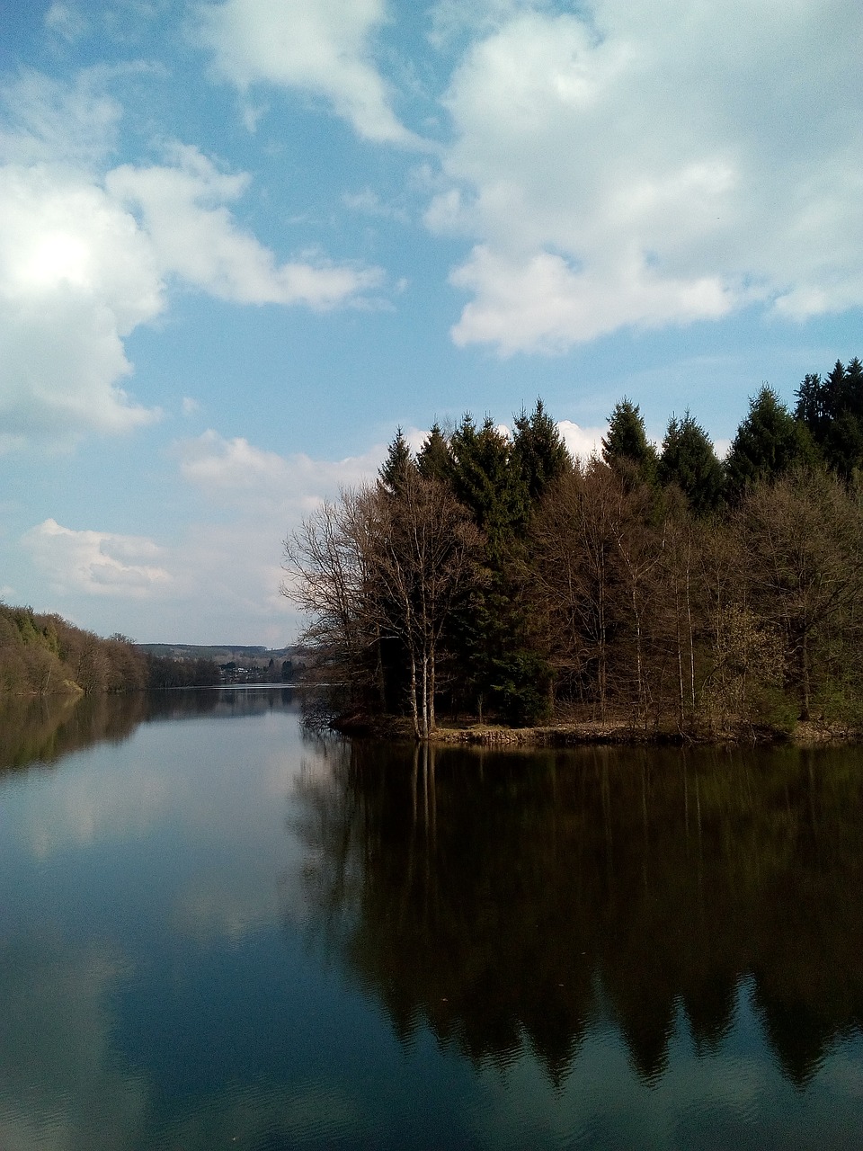 clouds water forest free photo