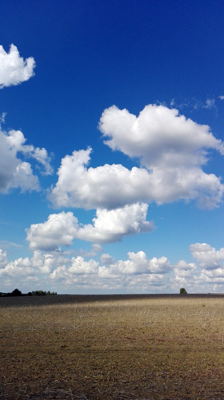 clouds sky field free photo