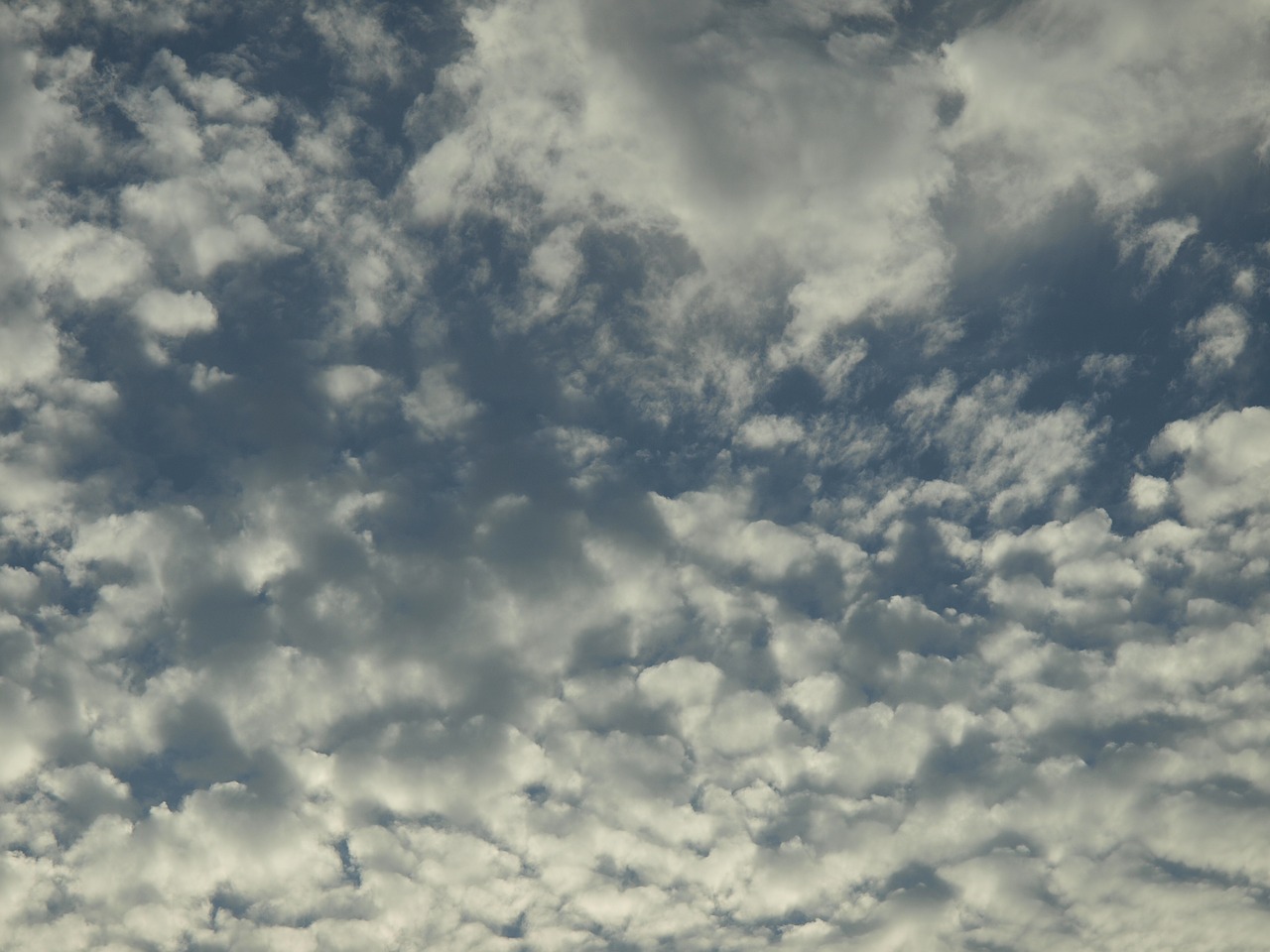 clouds texture white clouds free photo