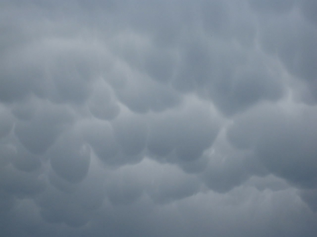 clouds puffy white free photo