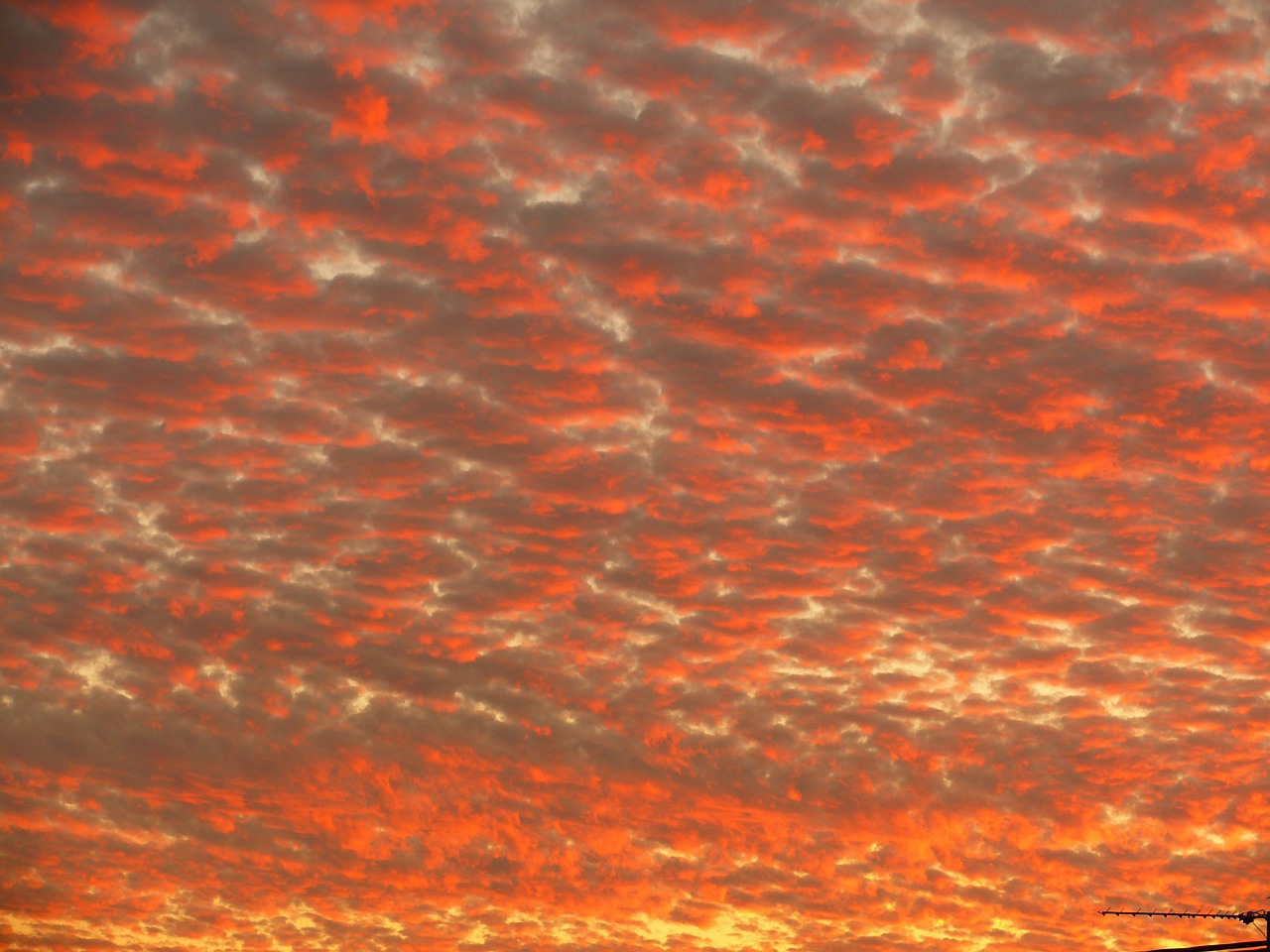 clouds sunset red free photo