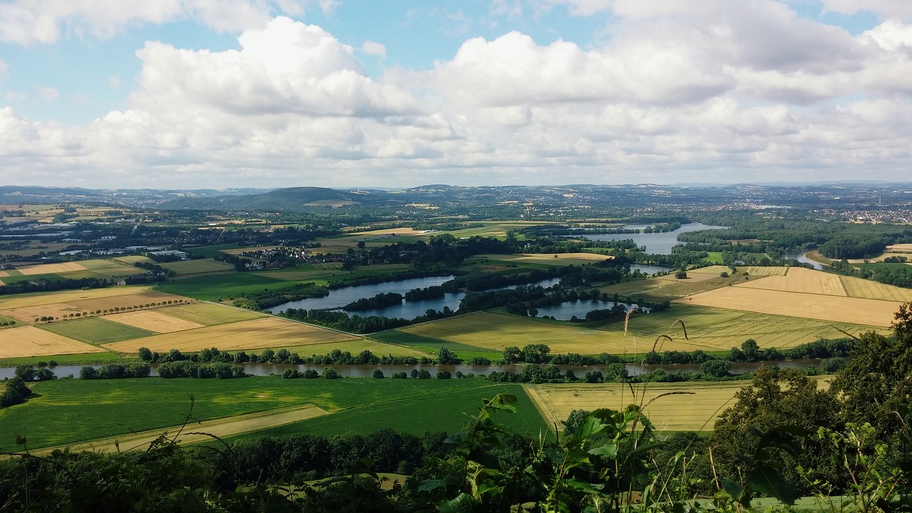 Lake fields