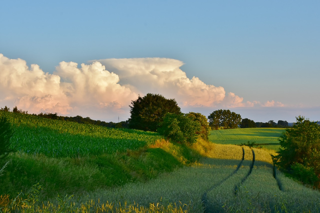 clouds  nature  sky free photo