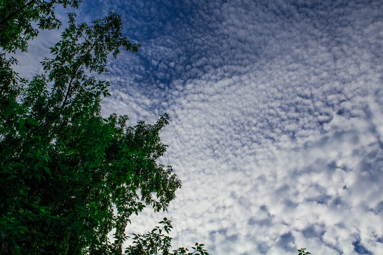 clouds  sky  blue sky free photo