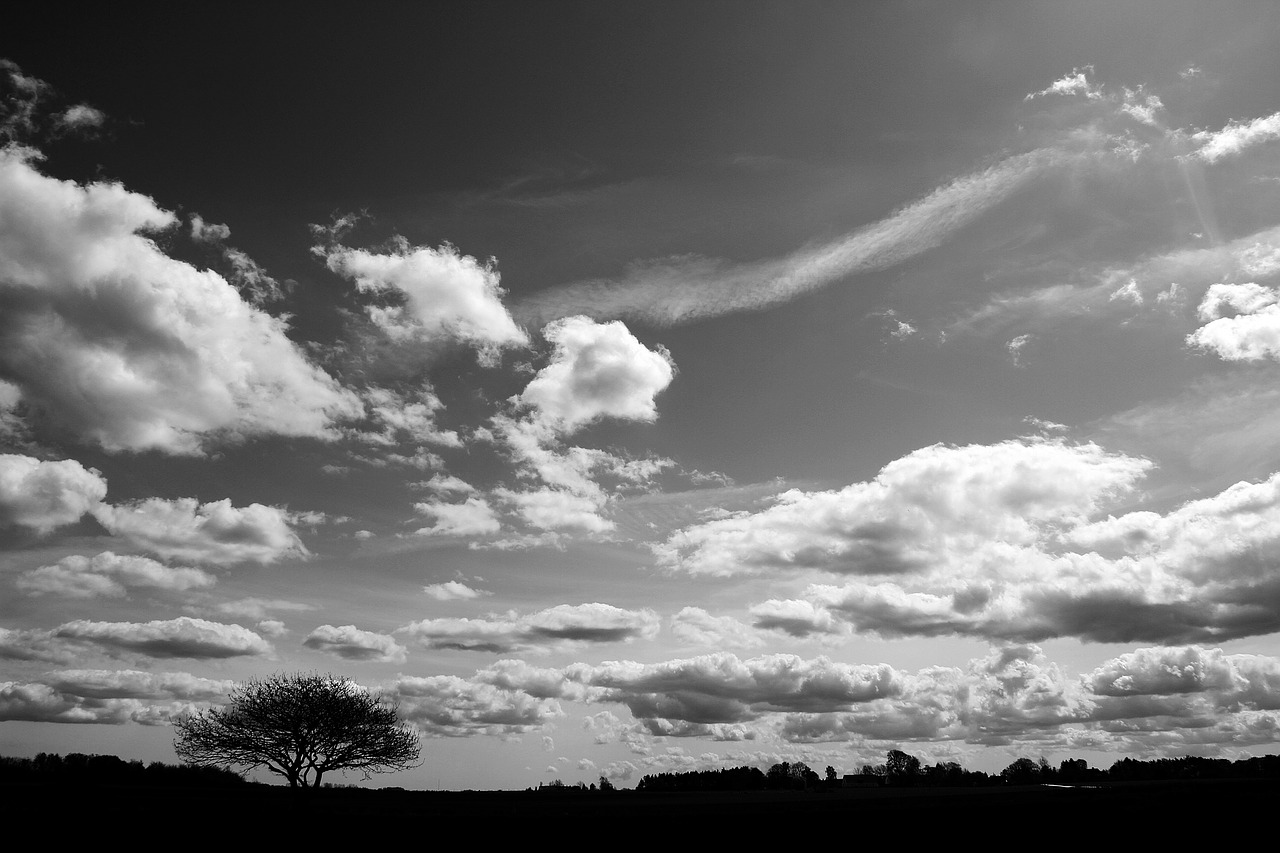 clouds  black white  natural free photo