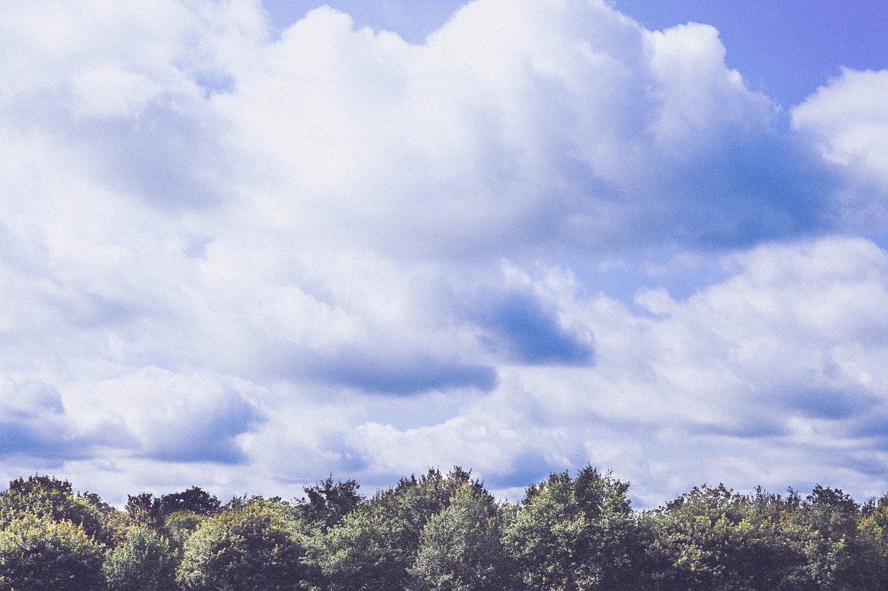 clouds sky forest free photo