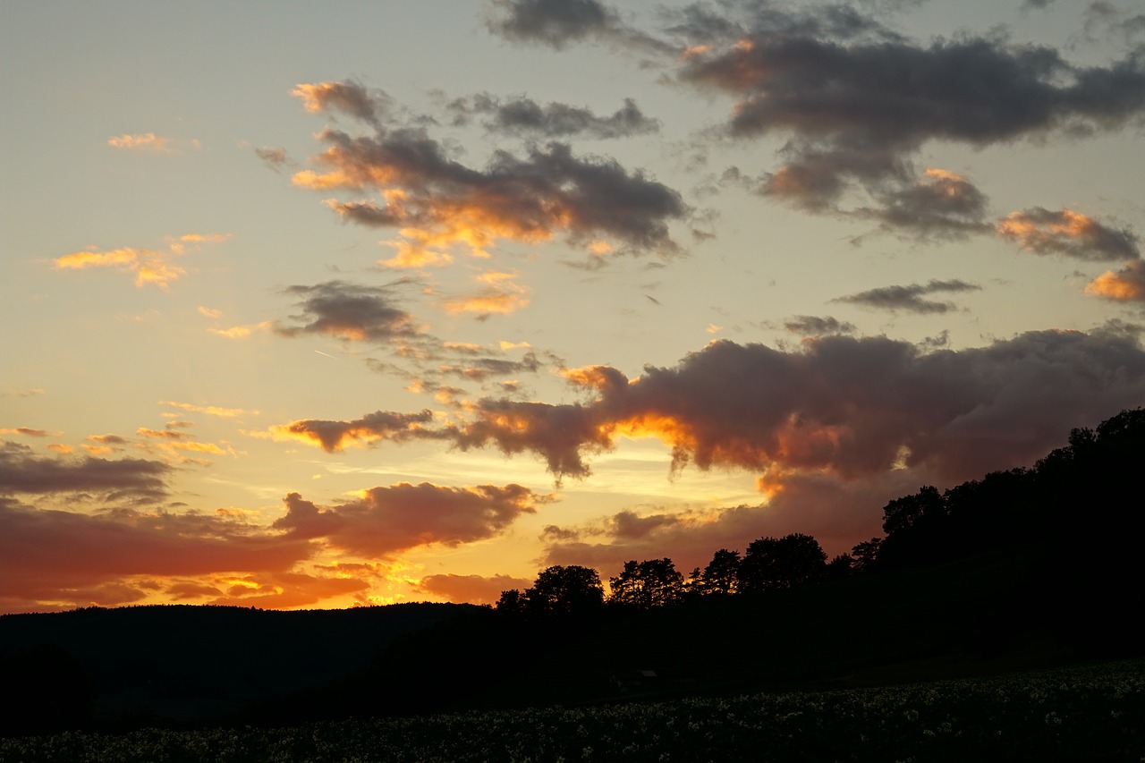 clouds  evening sky  sunset free photo