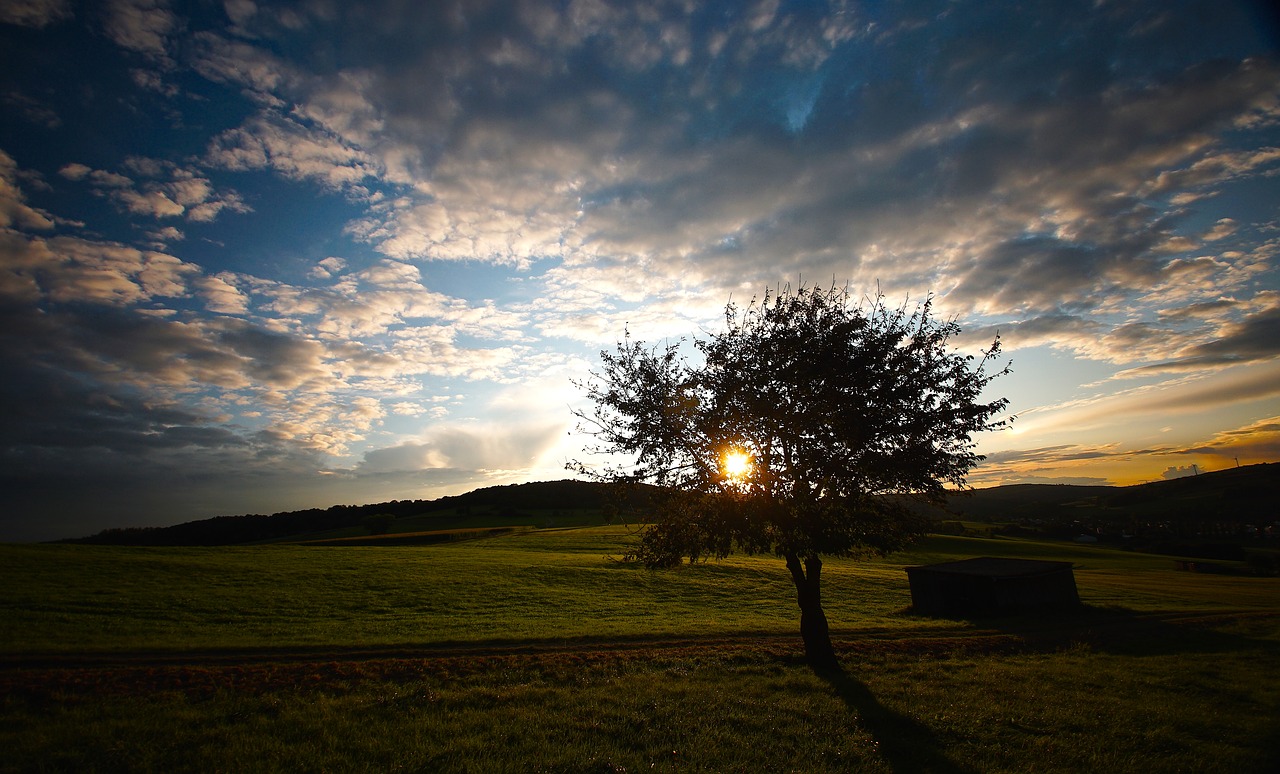 clouds  tree  color free photo