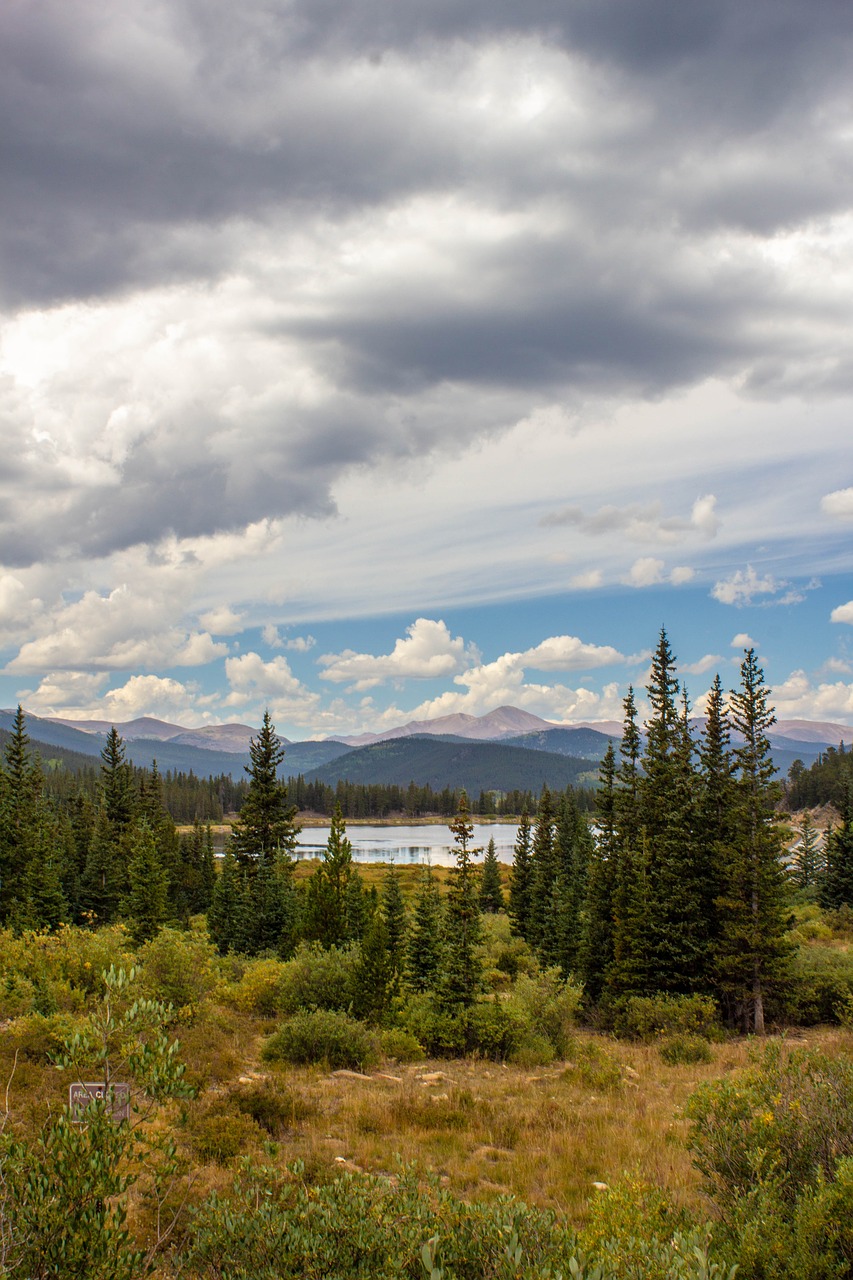 clouds  trees  forest free photo