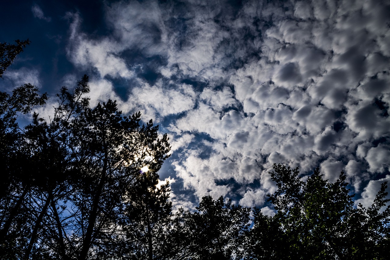 clouds  sky  nature free photo