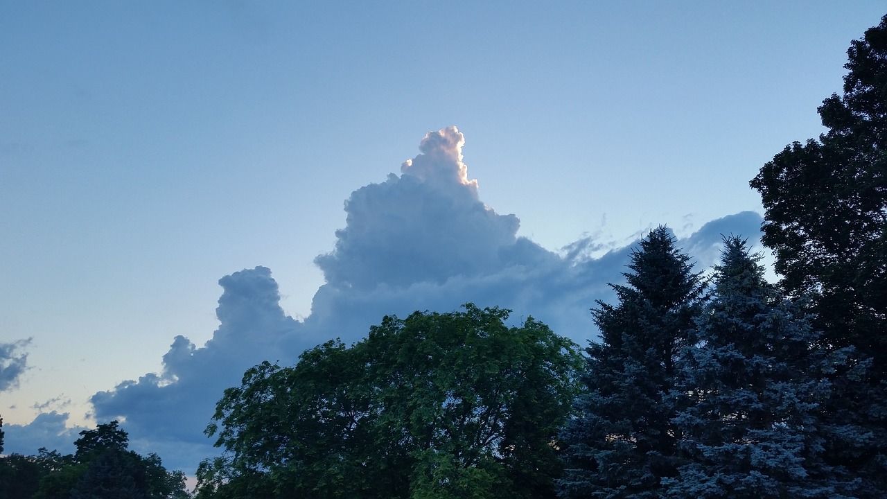 clouds  landscape  trees free photo