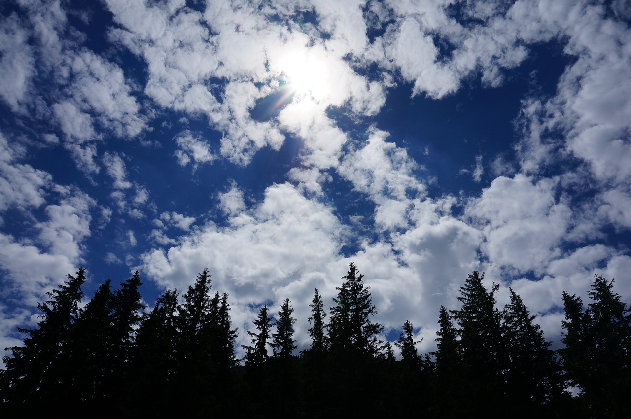 clouds  sky  tree free photo