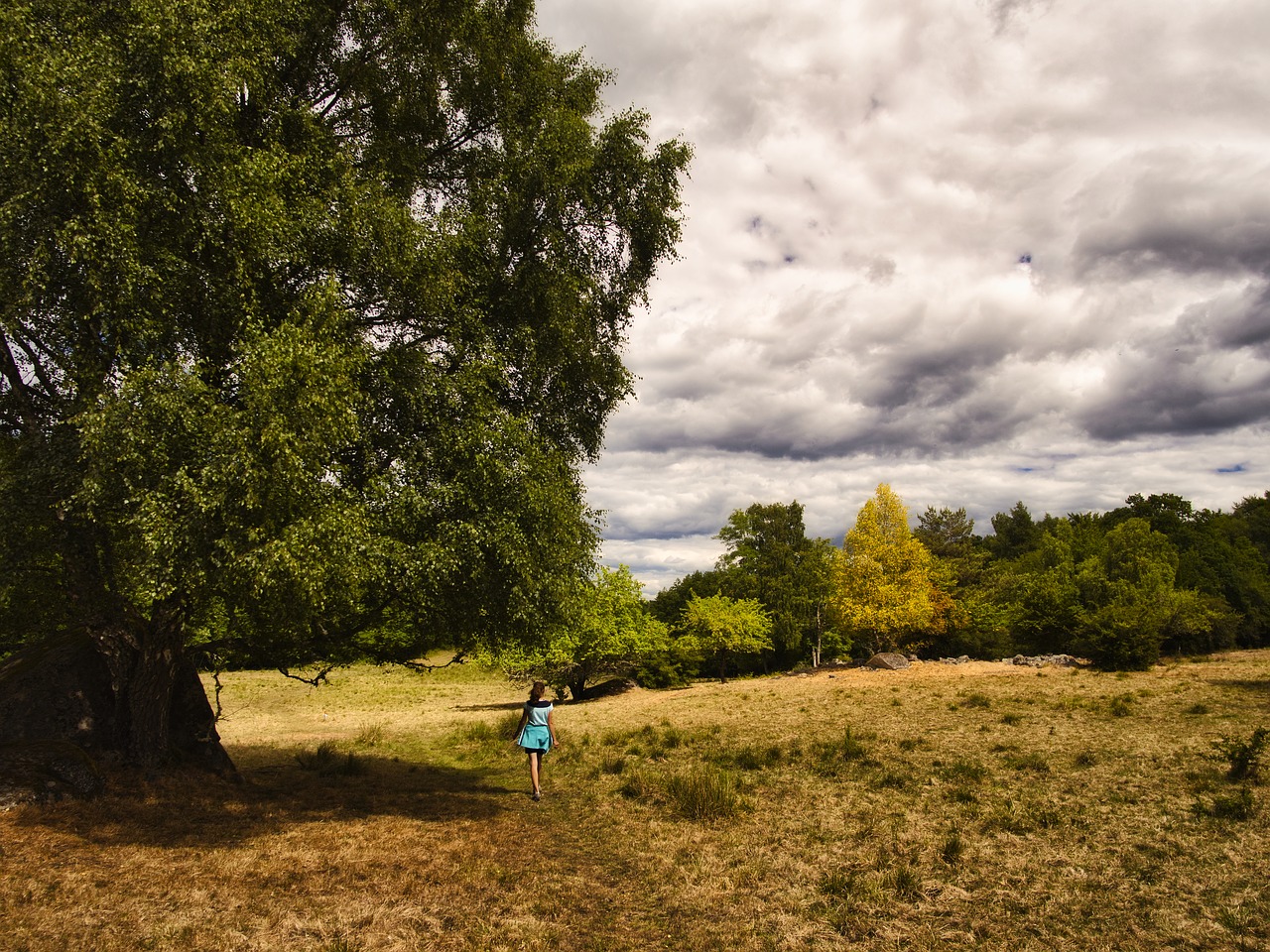 clouds  gloomy  sky free photo