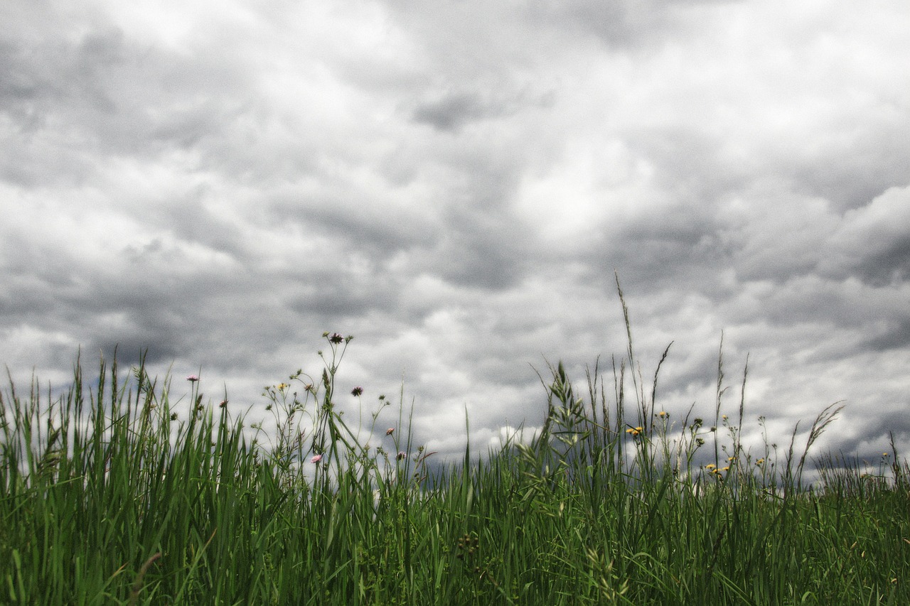 clouds sky grass free photo