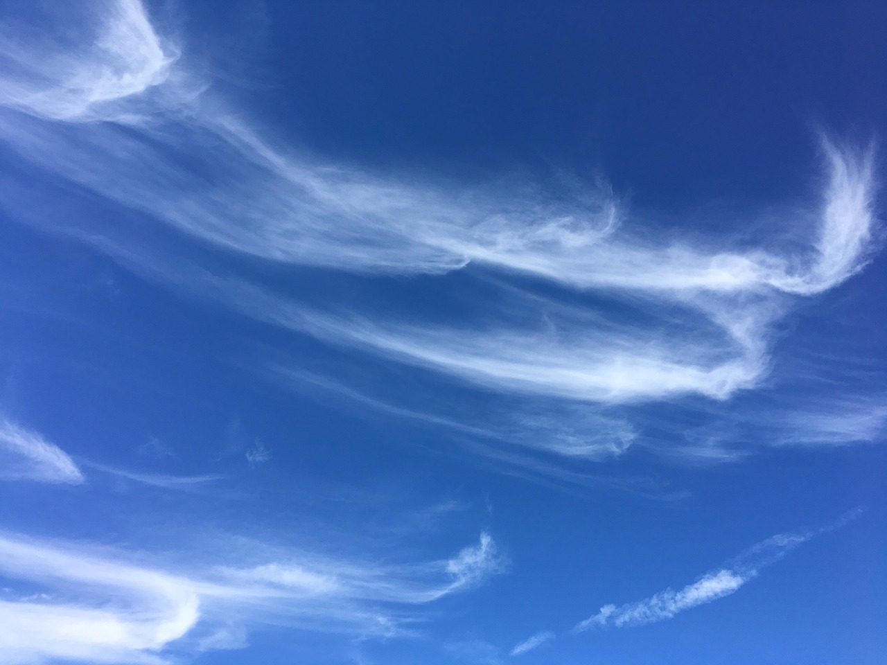 clouds  blue sky  virginia sky free photo