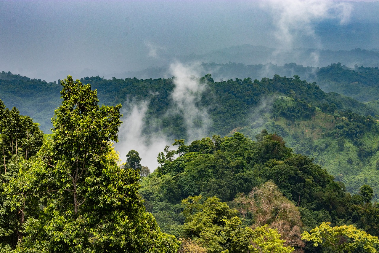 clouds  hills  sajek free photo