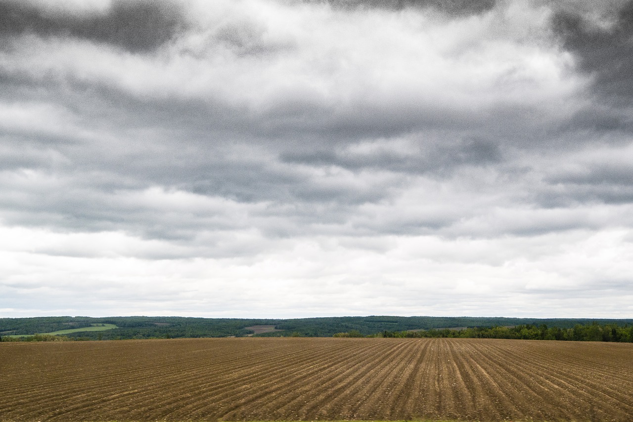 clouds  field  landscape free photo